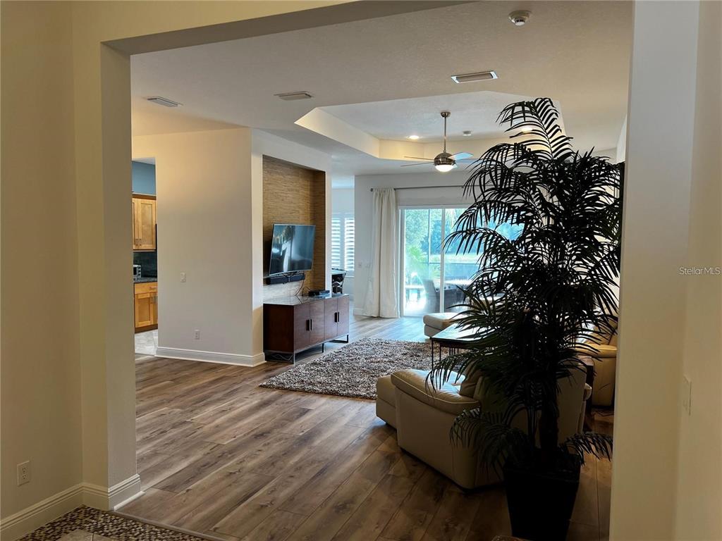 A living room features wood-look flooring, a tray ceiling, and a large potted palm plant — 12051 THORNHILL COURT, LAKEWOOD RANCH, FL