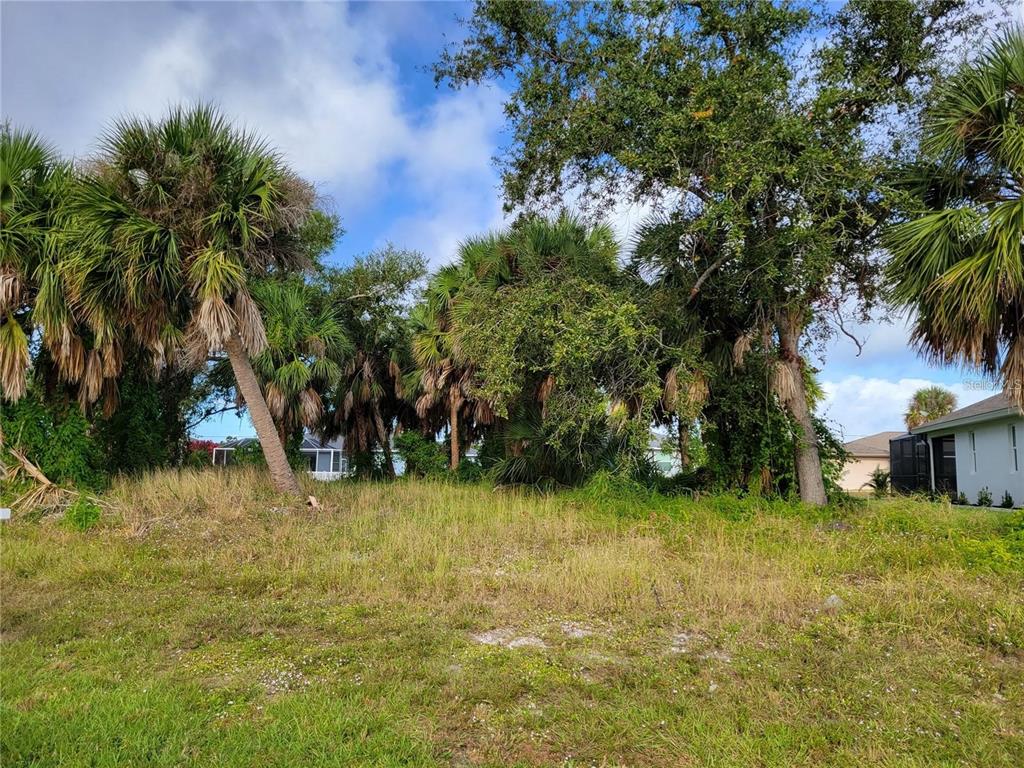 A vacant, grassy lot features several mature palm trees and dense vegetation under a blue sky — 95 LONG MEADOW LANE, ROTONDA WEST, FL