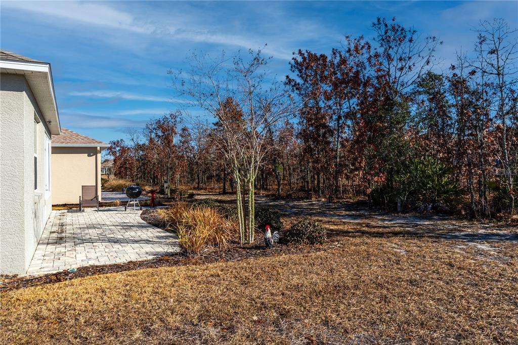 A paved patio sits beside a house exterior, overlooking a yard with trees and brush — 9325 SW 106TH AVENUE, OCALA, FL