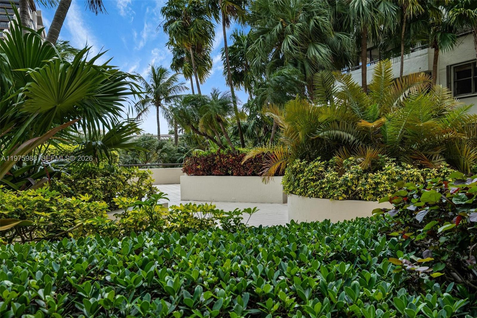 A lush outdoor terrace features tropical landscaping, palm trees, and raised concrete planters — 170 Ocean Lane Dr # 310, Key Biscayne FL 33149, KEY BISCAYNE, FL