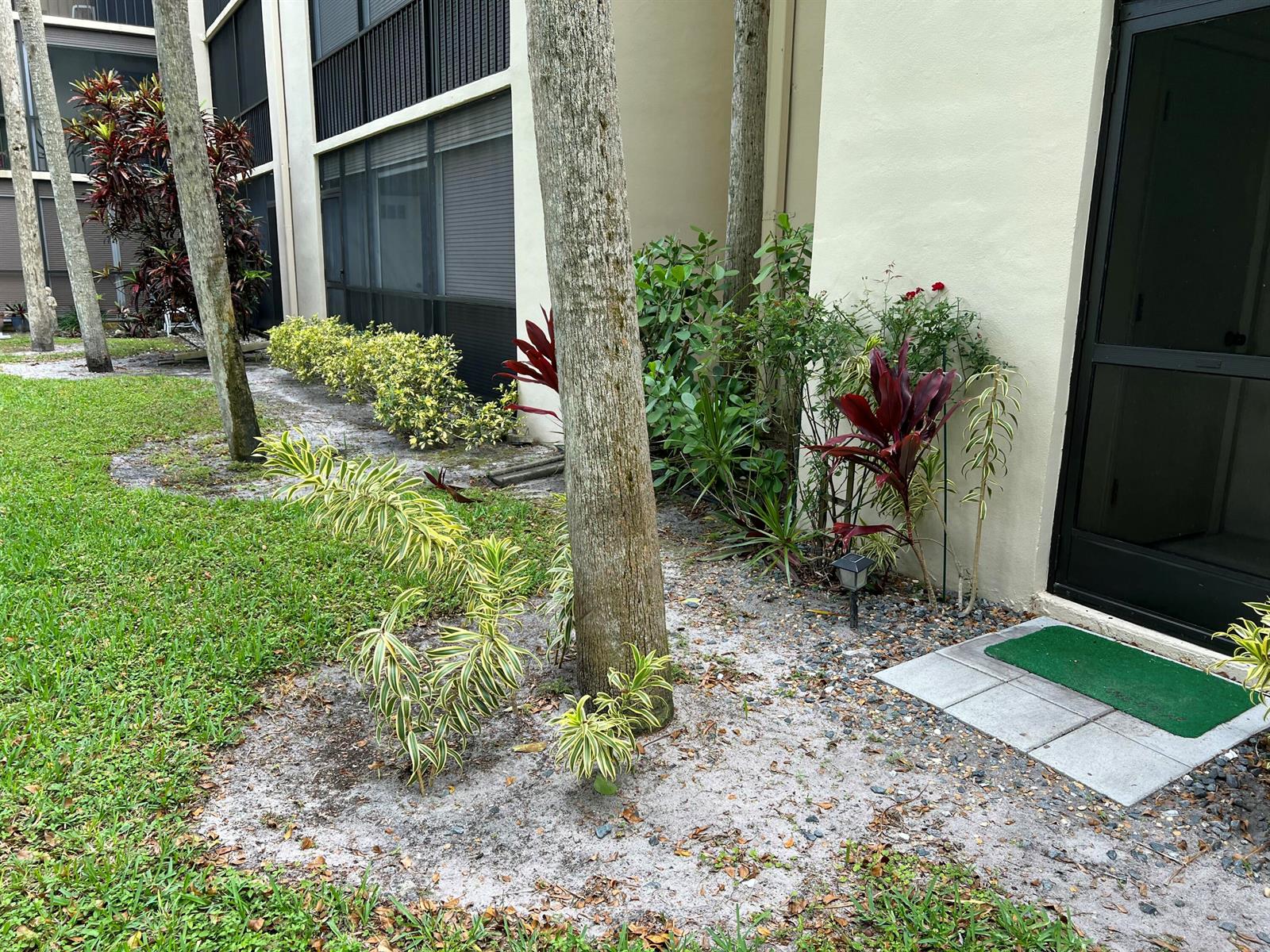 A palm tree stands in a sandy garden bed next to a building entrance — 5220 Las Verdes Circle # 101, Delray Beach FL 33484, DELRAY BEACH, FL