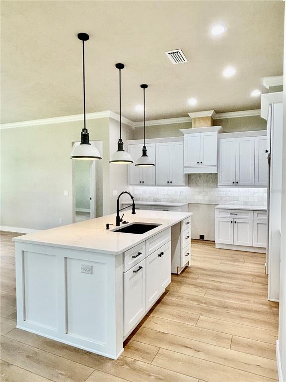 A modern kitchen features white cabinets, a central island with a sink, and pendant lighting — 20488 NW 160TH LANE, HIGH SPRINGS, FL
