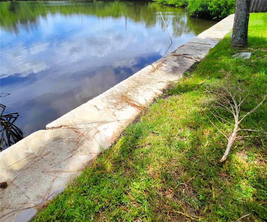 A concrete seawall borders a grassy lawn next to a calm body of water — 6975 EDGEWATER DRIVE, NEW PORT RICHEY, FL