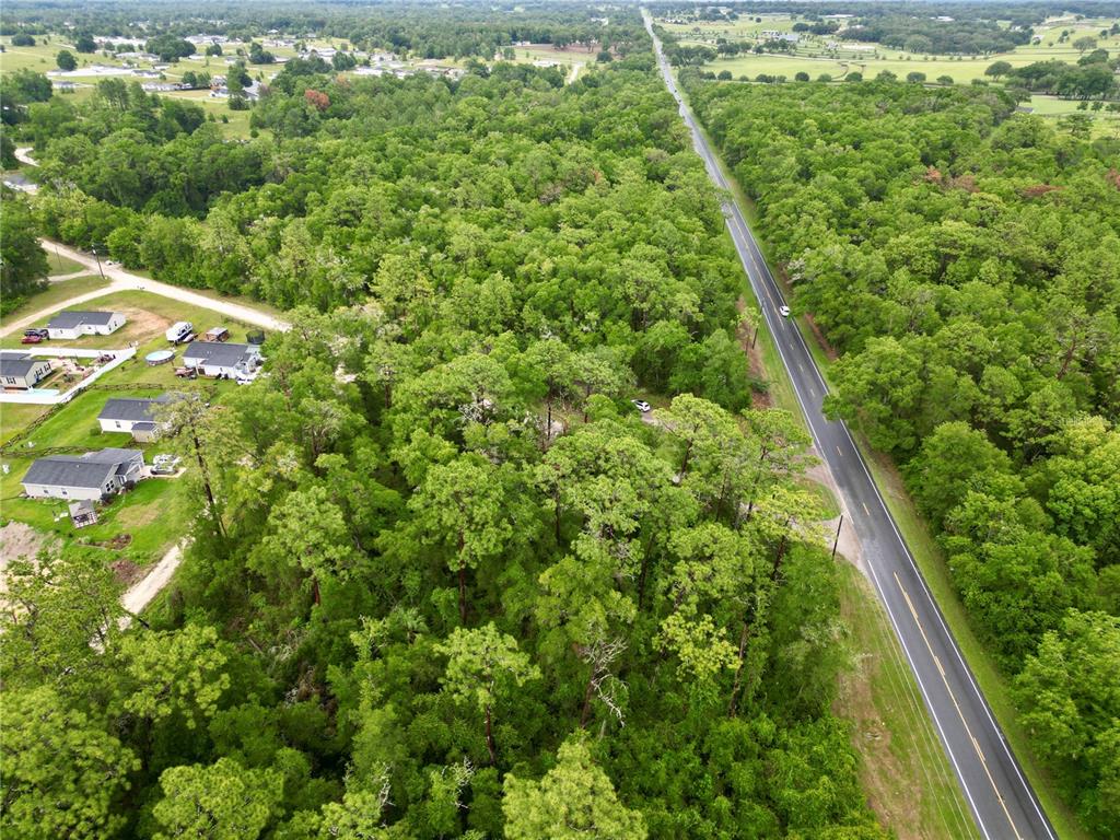 An aerial view shows a wooded lot adjacent to a paved road and residential homes — TBD W HWY 40, OCALA, FL