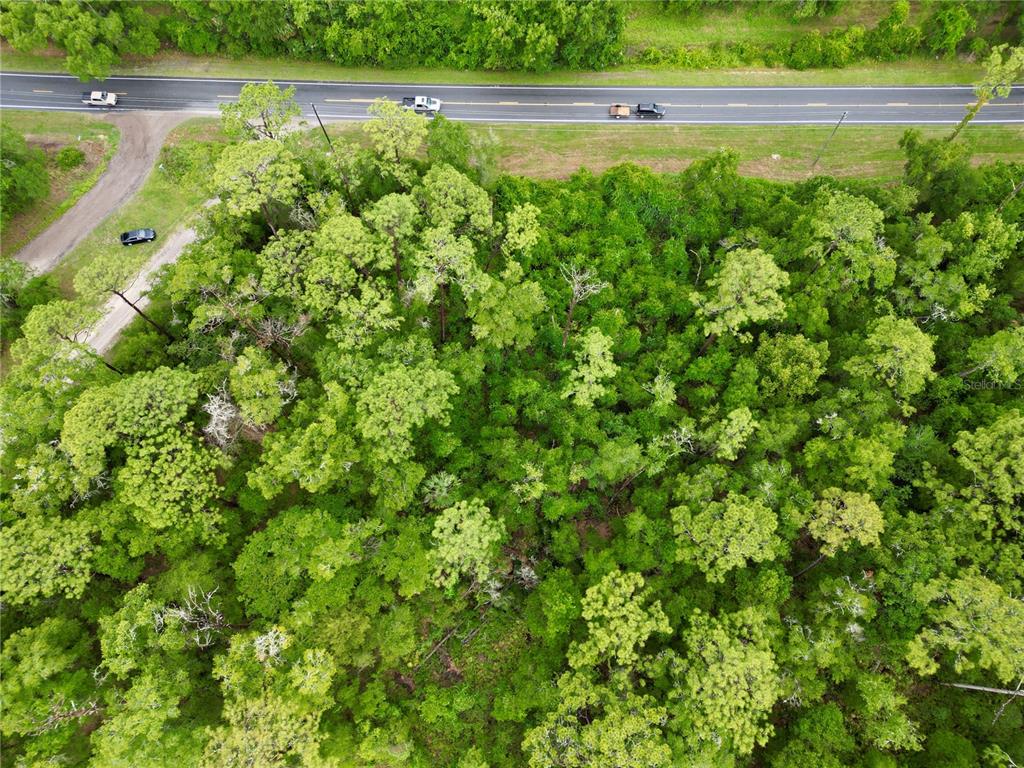 An aerial view shows a densely wooded lot adjacent to a paved road — TBD W HWY 40, OCALA, FL