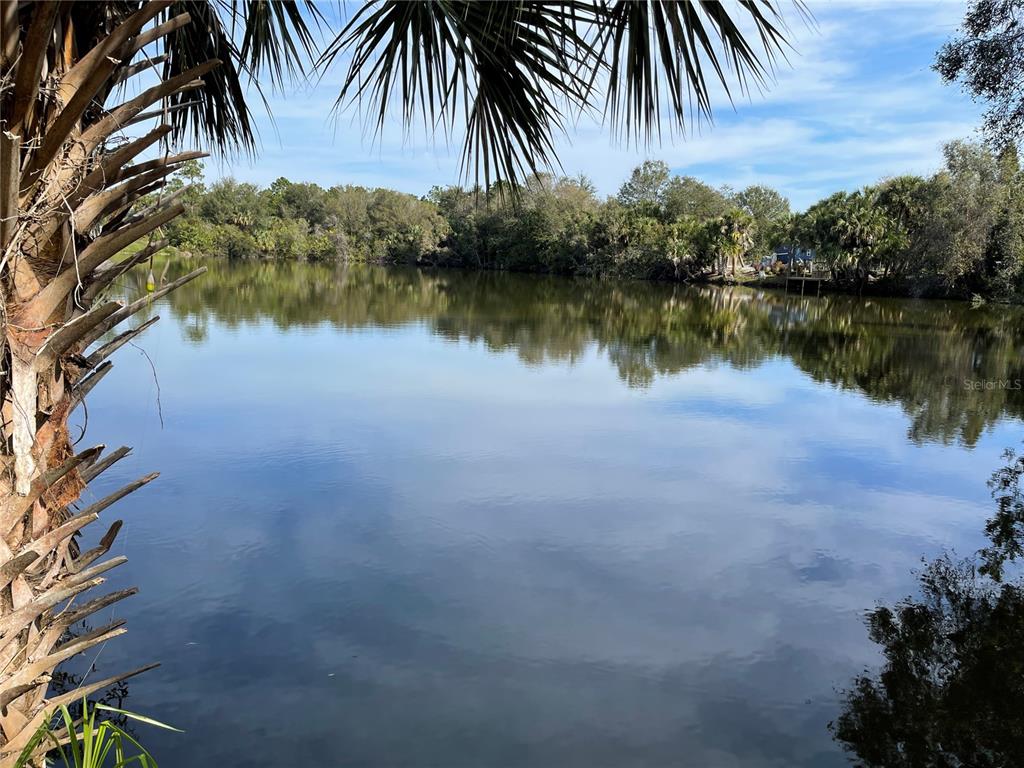 A palm tree frames a view of a calm lake surrounded by dense trees — 12152 BORAX AVENUE, PUNTA GORDA, FL