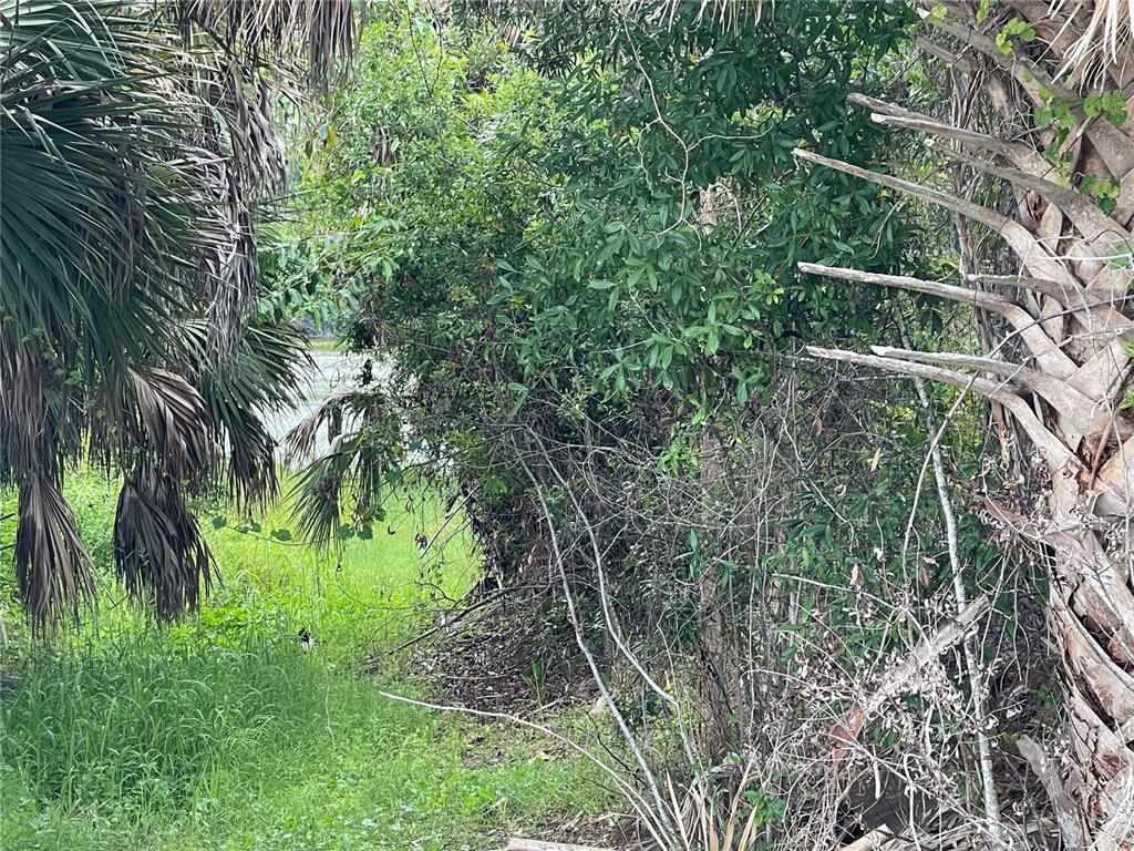 A view of dense green foliage, palm trees, and a glimpse of water in the distance — 12152 BORAX AVENUE, PUNTA GORDA, FL