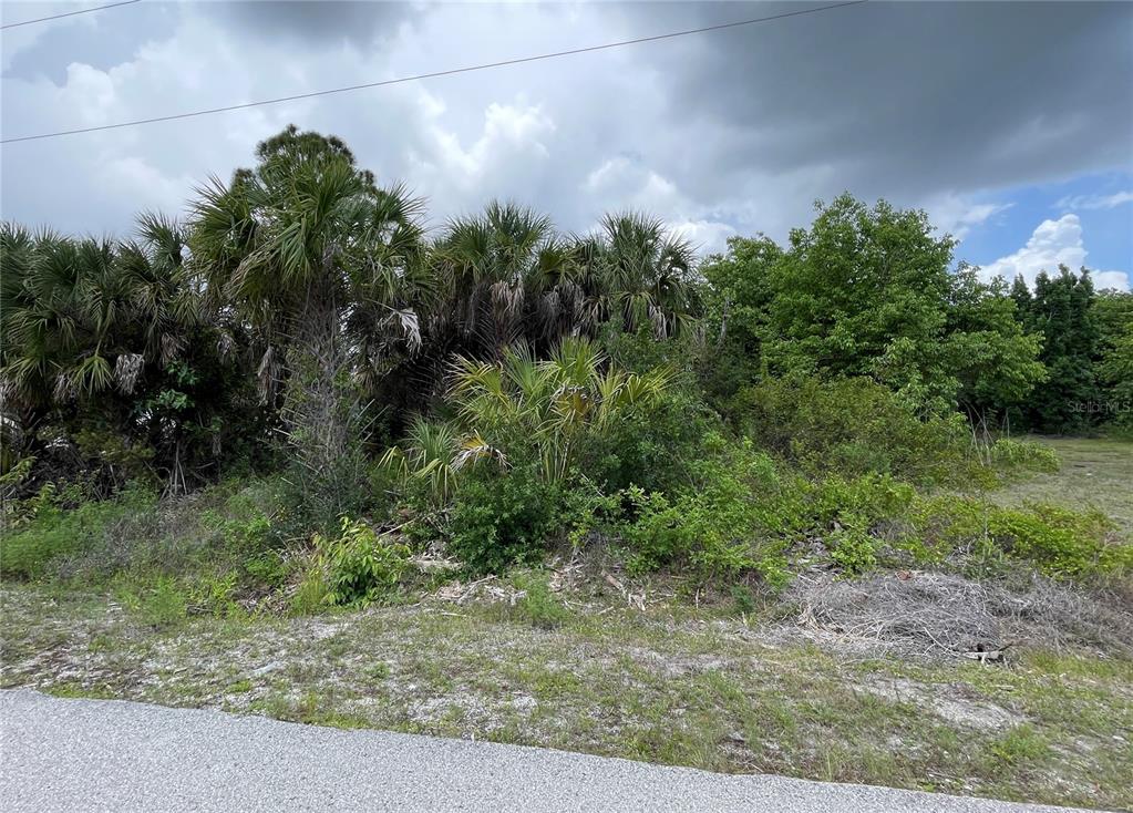A vacant, overgrown lot with palm trees and dense vegetation borders a paved road — 12152 BORAX AVENUE, PUNTA GORDA, FL