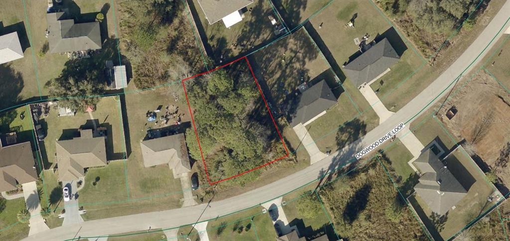 This aerial map shows a vacant, wooded residential lot outlined in red on a street — Lot 19 DOGWOOD DRIVE LOOP, OCALA, FL