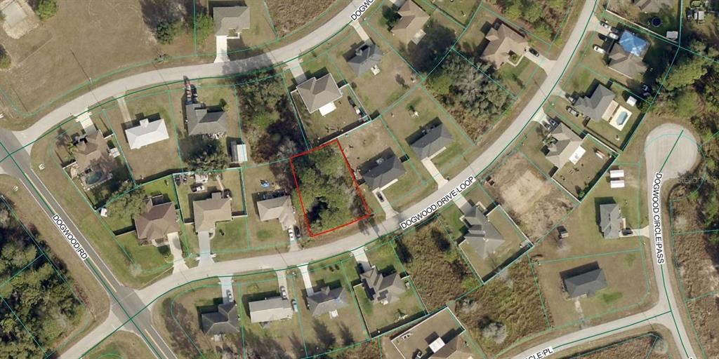 This is an aerial map showing a vacant residential lot outlined in red — Lot 19 DOGWOOD DRIVE LOOP, OCALA, FL