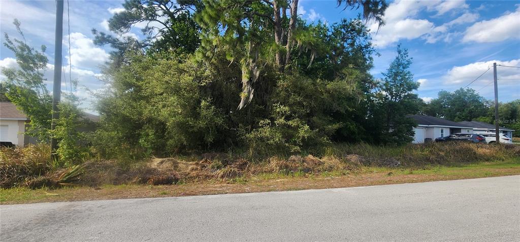 A vacant, overgrown residential lot sits between two existing houses along a paved road — Lot 19 DOGWOOD DRIVE LOOP, OCALA, FL