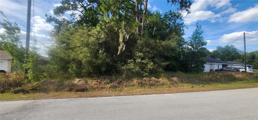 A vacant, overgrown residential lot with trees and shrubs sits next to suburban houses — Lot 19 DOGWOOD DRIVE LOOP, OCALA, FL