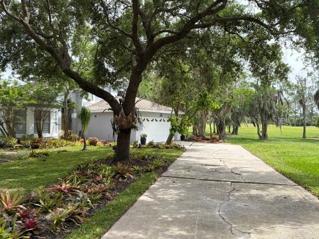 A concrete driveway leads to a house exterior surrounded by large trees and landscaping — 2809 RUNYON CIRCLE, ORLANDO, FL