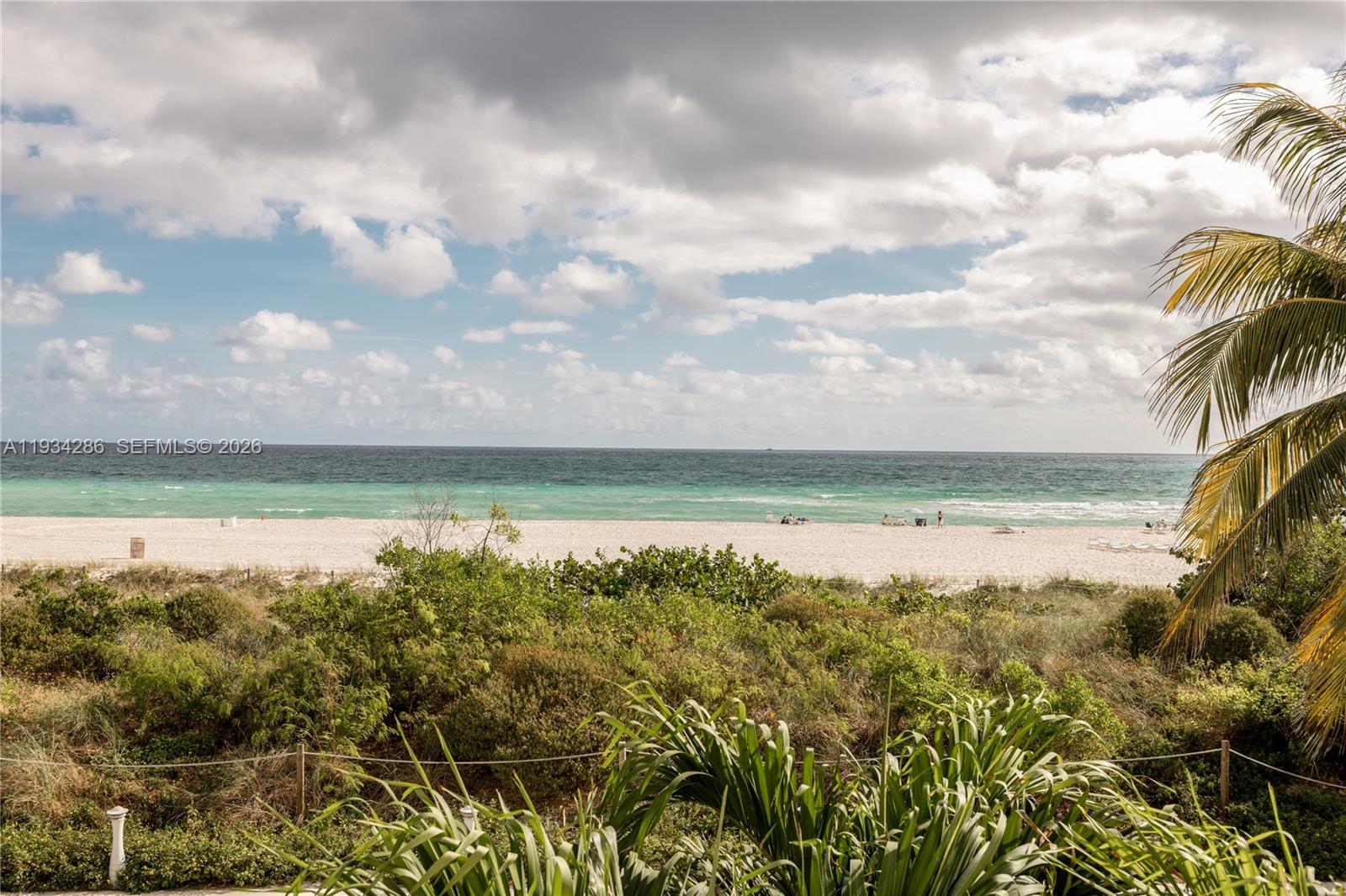 A view of a sandy beach and ocean from behind lush green coastal vegetation — 5601 Collins Ave # 1019, Miami Beach FL 33140, MIAMI BEACH, FL