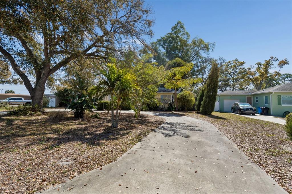A concrete driveway leads toward a house partially obscured by trees and landscaping — 2120 CORONADA WAY S, ST PETERSBURG, FL