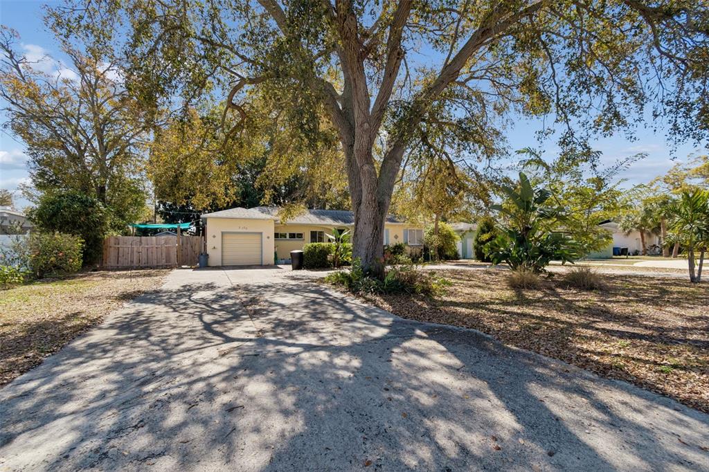 A single-story house with a concrete driveway and a large tree in the front yard — 2120 CORONADA WAY S, ST PETERSBURG, FL