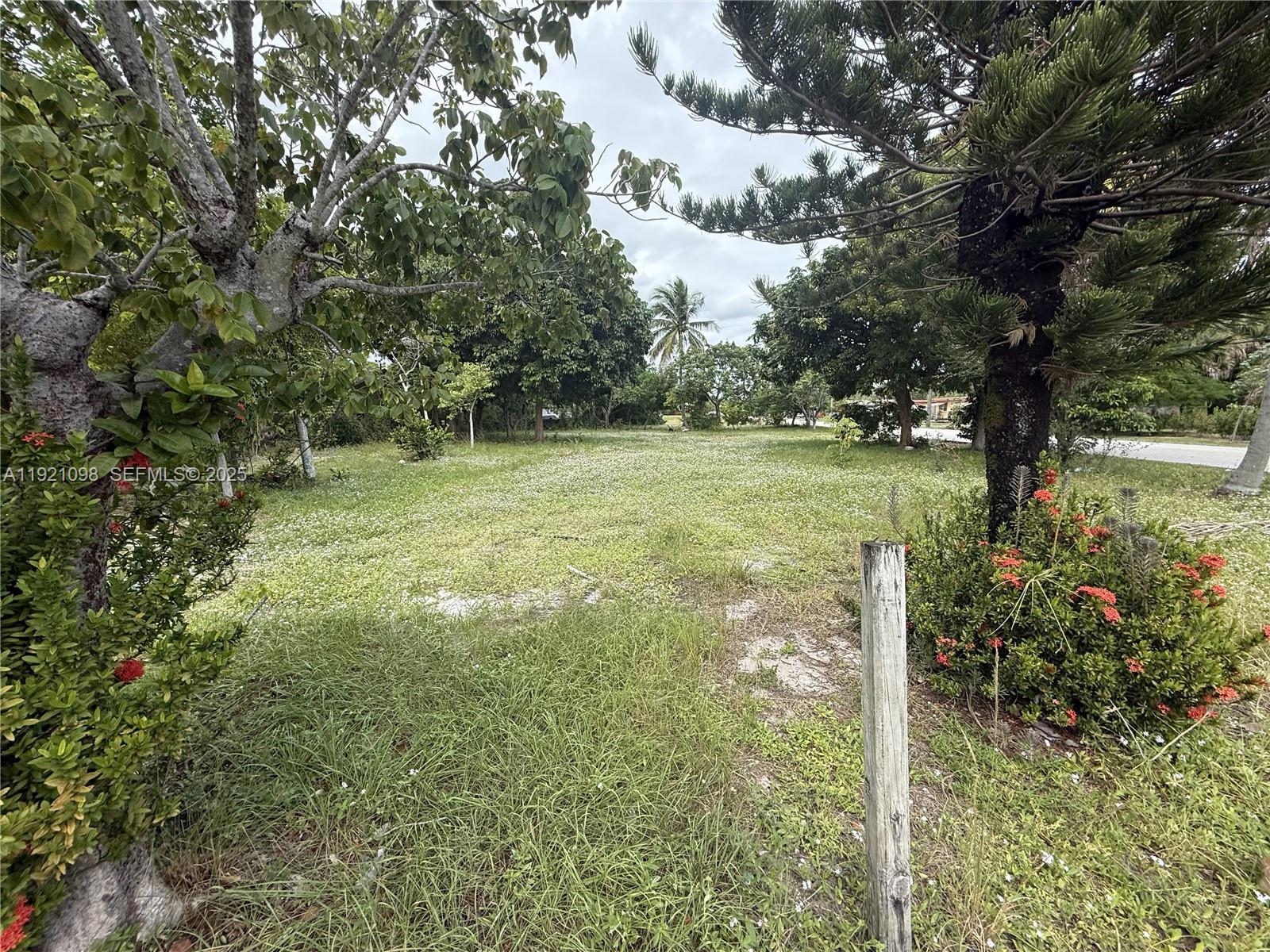 A grassy, tree-lined vacant lot is viewed from a perspective near a wooden post — 201 NW 11th St, Pompano Beach FL 33060, POMPANO BEACH, FL