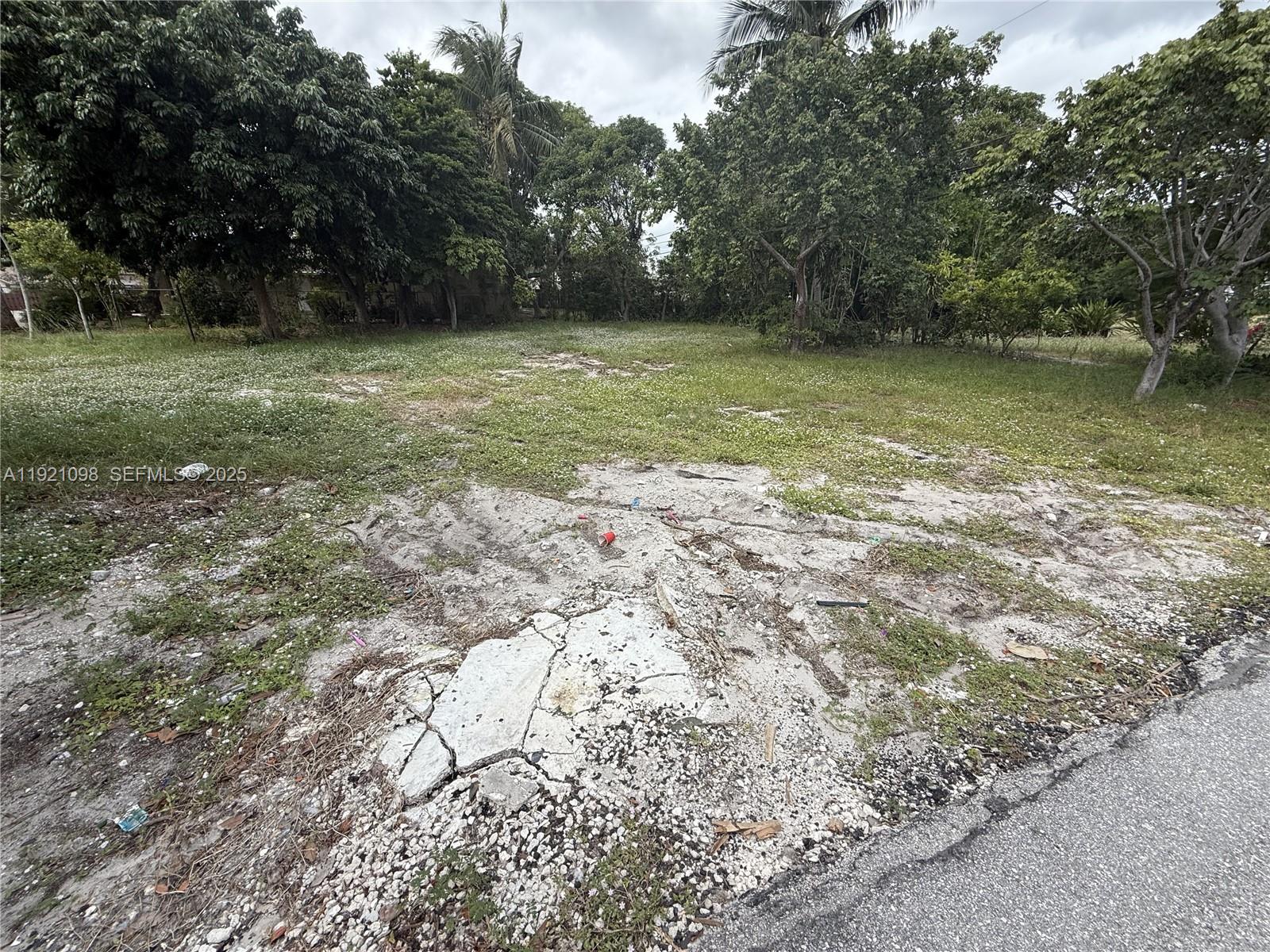 A vacant, grassy lot features a cracked concrete slab in the foreground and surrounding trees — 201 NW 11th St, Pompano Beach FL 33060, POMPANO BEACH, FL