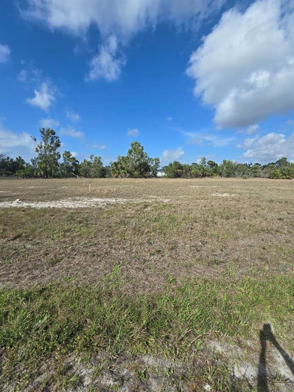 A flat, grassy vacant lot under a blue sky with scattered clouds and distant trees — 3813 NW 46TH LANE, CAPE CORAL, FL