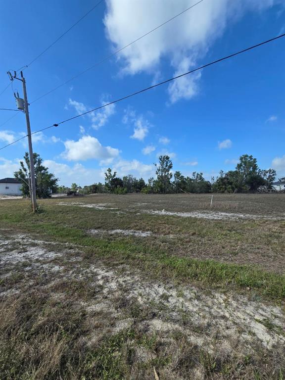 A vacant, grassy lot features a utility pole and scattered trees under a blue sky — 3813 NW 46TH LANE, CAPE CORAL, FL