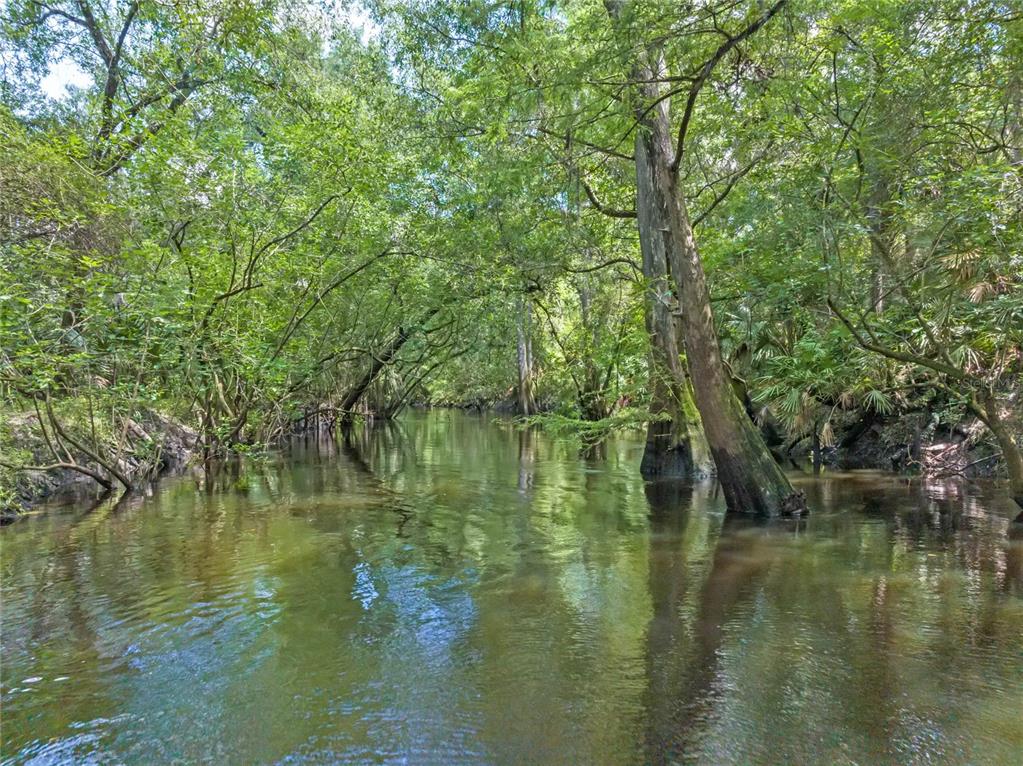 A calm, narrow river flows through a dense, green forest with large cypress trees — 4000 ROUSE ROAD, ORLANDO, FL