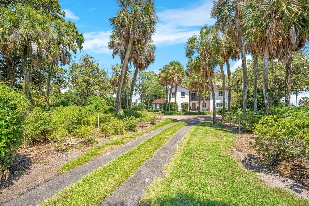 A long driveway leads to a white two-story house surrounded by tall palm trees — 14365 SE HIGHWAY 42, WEIRSDALE, FL