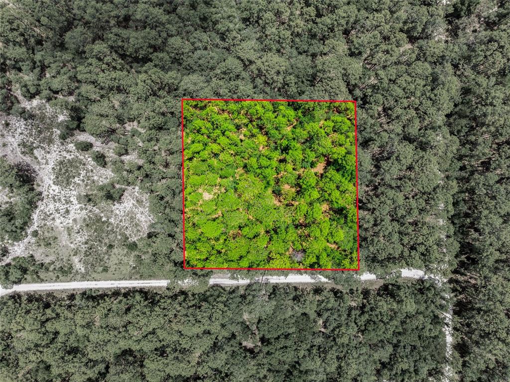An aerial view shows a square plot of wooded land outlined in red near a road — Lot 02 SW 175TH TERRACE, DUNNELLON, FL