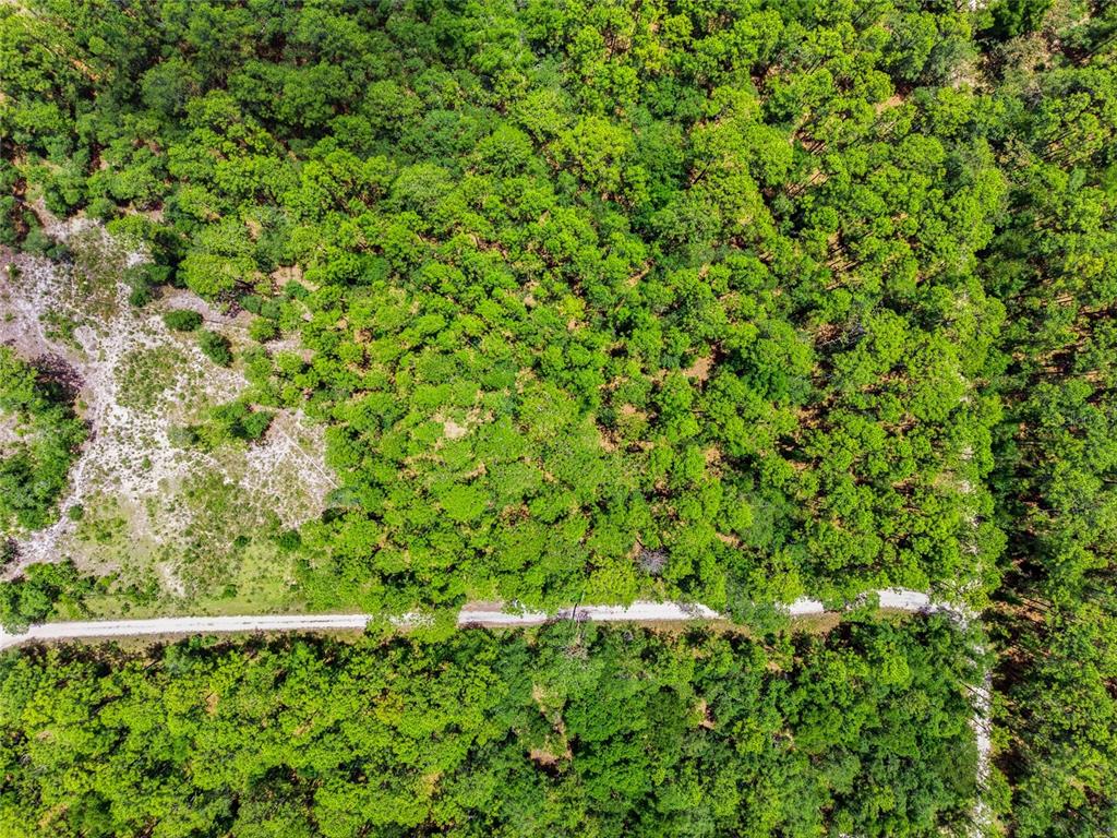 An aerial view shows a dirt road cutting through a dense, green wooded forest area — Lot 02 SW 175TH TERRACE, DUNNELLON, FL