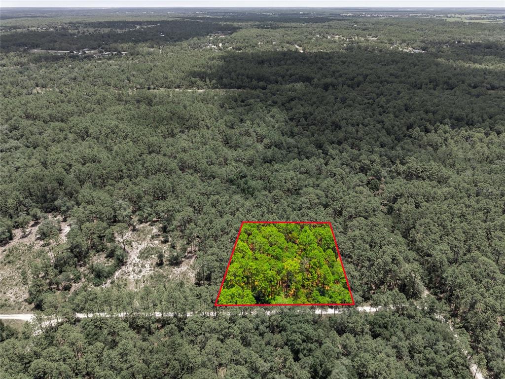 An aerial view shows a rectangular plot of land outlined in red amidst a forest — Lot 02 SW 175TH TERRACE, DUNNELLON, FL
