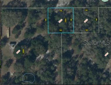 This is an aerial map showing a rectangular property parcel outlined in blue — 1349 N FORT CHRISTMAS ROAD, CHRISTMAS, FL