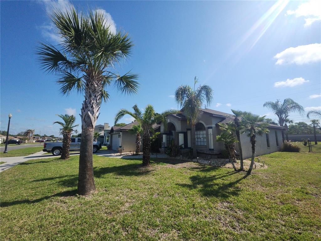 A single-story house with a stucco exterior and several palm trees in the front yard — 4028 BRECKLAND COURT, SPRING HILL, FL