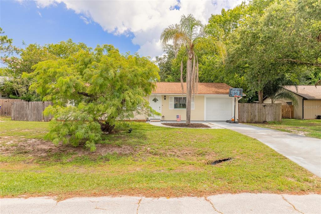 A single-story house with light yellow siding, a palm tree, and a concrete driveway — 3223 UMBRELLA TREE DRIVE, EDGEWATER, FL