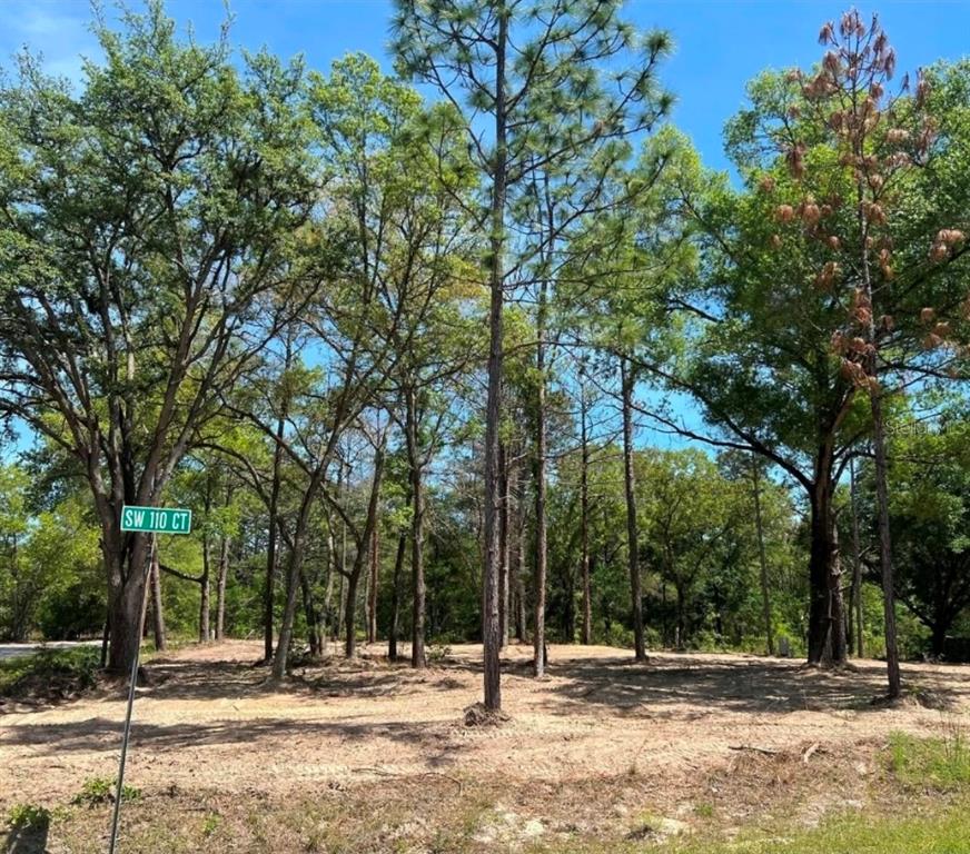 A vacant, wooded residential lot features sandy ground and a street sign for SW 110 CT — SW 110TH COURT, DUNNELLON, FL