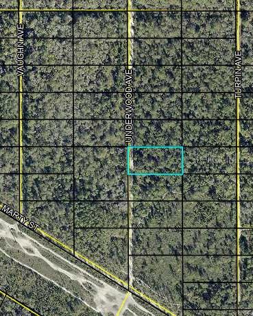 This is an aerial map showing a rectangular parcel of land highlighted in blue — UNDERWOOD, HASTINGS, FL