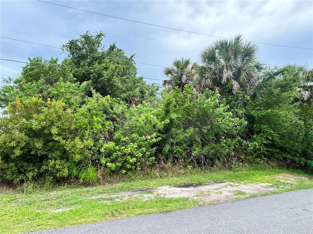 A dense thicket of trees and shrubs grows along the edge of a paved road — 2676 PORTIA ROAD, ENGLEWOOD, FL