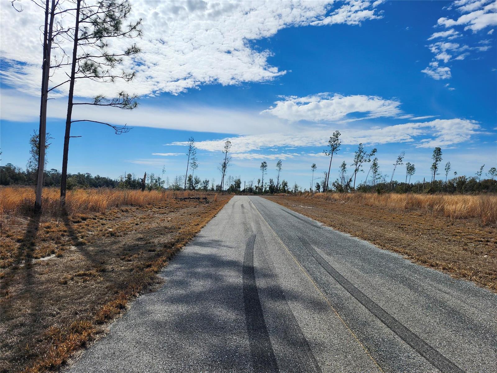 An asphalt road stretches through a flat, grassy landscape under a blue, cloudy sky — Lot 50 Fl-50, FL 32060, FL