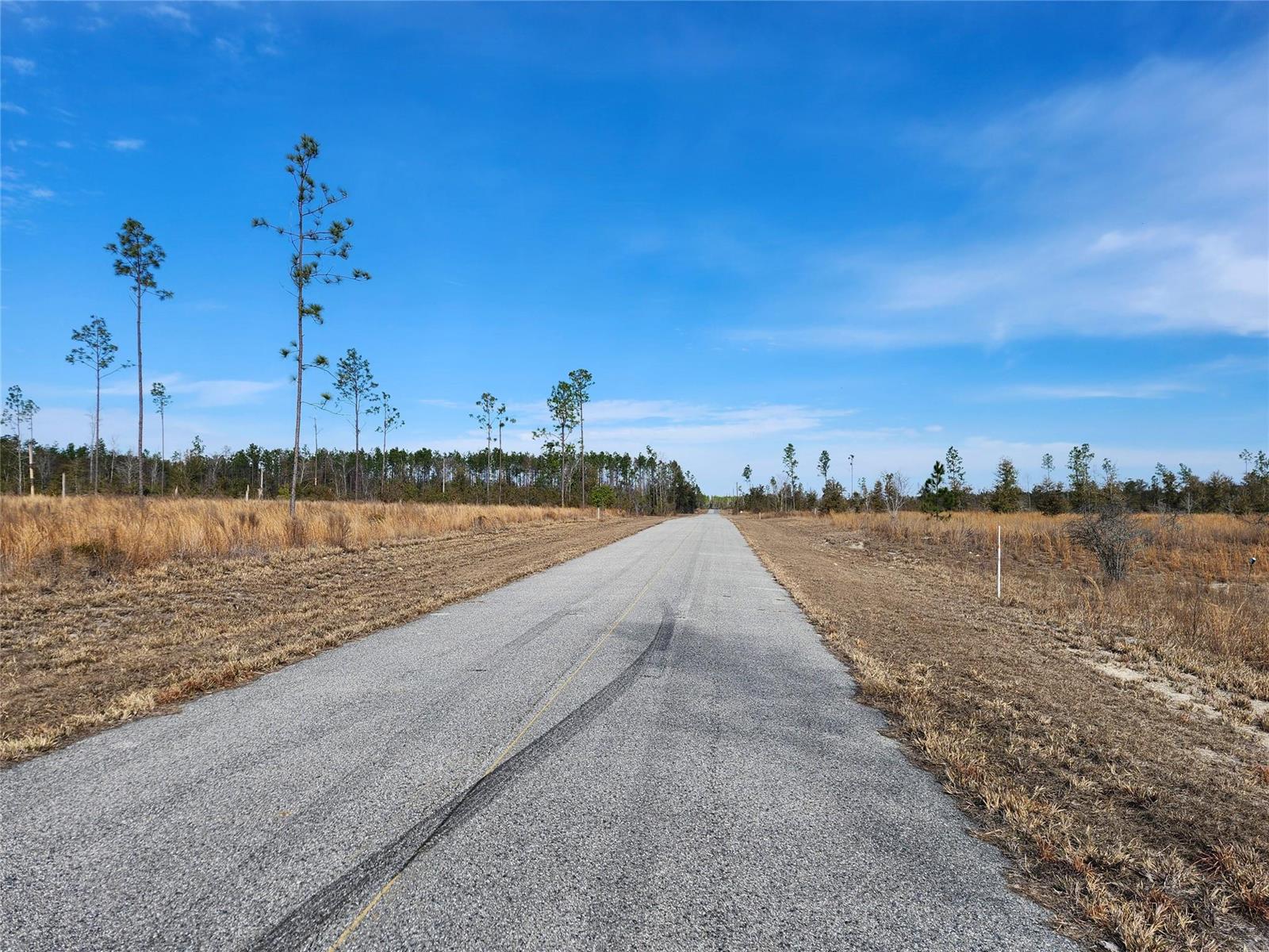 A paved road stretches through a flat, grassy landscape under a clear blue sky — Lot 50 Fl-50, FL 32060, FL