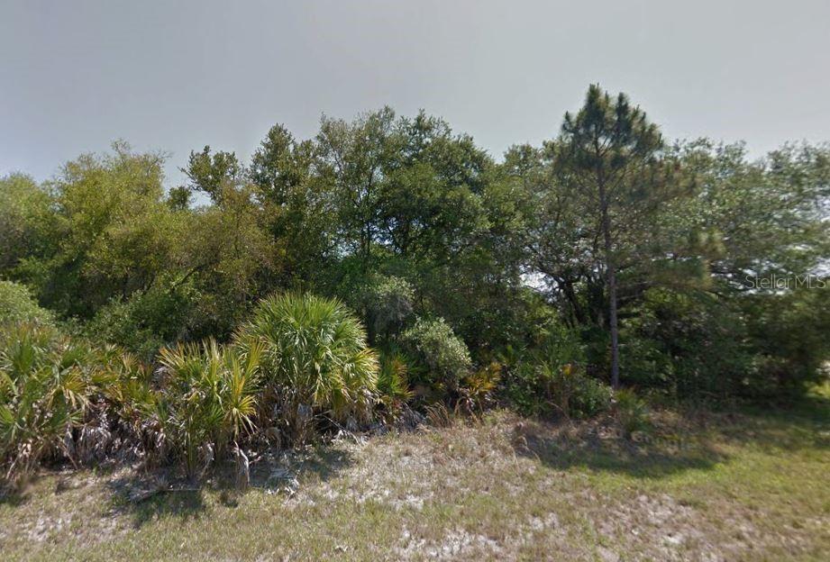 A dense wooded lot with various trees and palmetto bushes under a clear sky — 1491 LOVETT STREET, PORT CHARLOTTE, FL