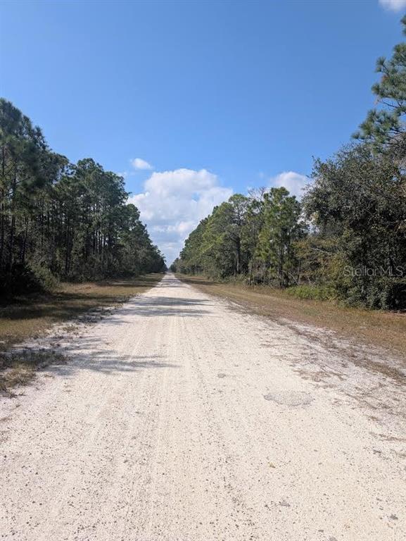 A long, straight dirt road stretches through a wooded area under a clear blue sky — OLEANDER DRIVE, INDIAN LAKE ESTATES, FL
