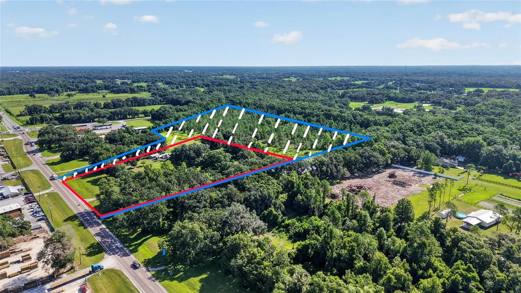An aerial view shows a wooded lot outlined in blue and red along a road — 13921 SR 471, WEBSTER, FL