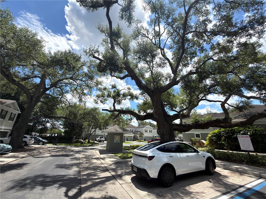 A white Tesla is parked under a large oak tree in a residential parking area — 2437 EARLSWOOD COURT, BRANDON, FL