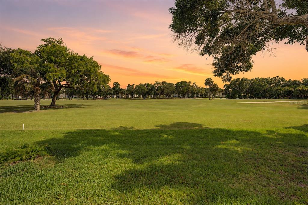 A view of a grassy golf course fairway at sunset with trees in the background — 450 CYPRESS CREEK CIRCLE, OLDSMAR, FL