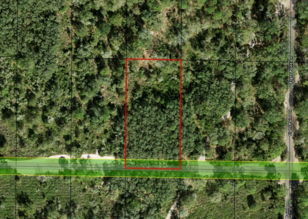 An aerial map view shows a rectangular wooded lot bordering a paved road — 0 County Rd 54, FL 33849, FL