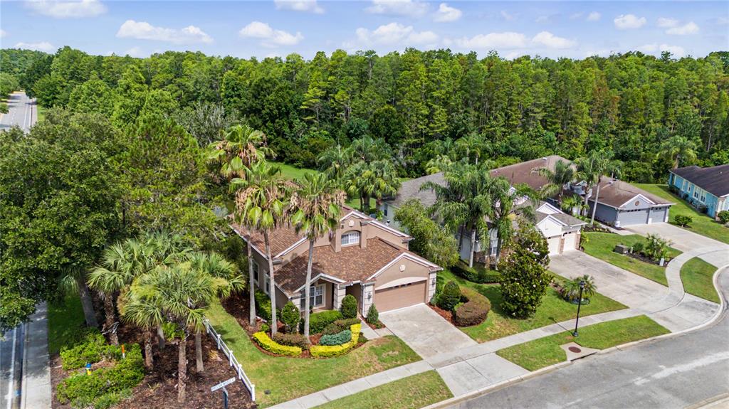 An aerial view shows a suburban house with a brown roof and palm trees — 8711 PRESTON WOODS COURT, LAND O LAKES, FL