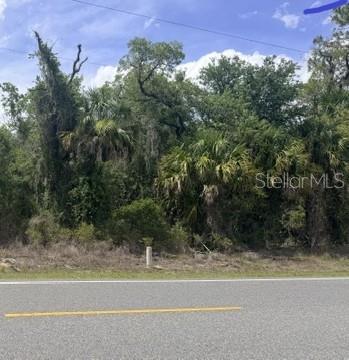 A view of a wooded, undeveloped lot from the side of a paved road — 10639 W DUNNELLON RD, CRYSTAL RIVER, FL