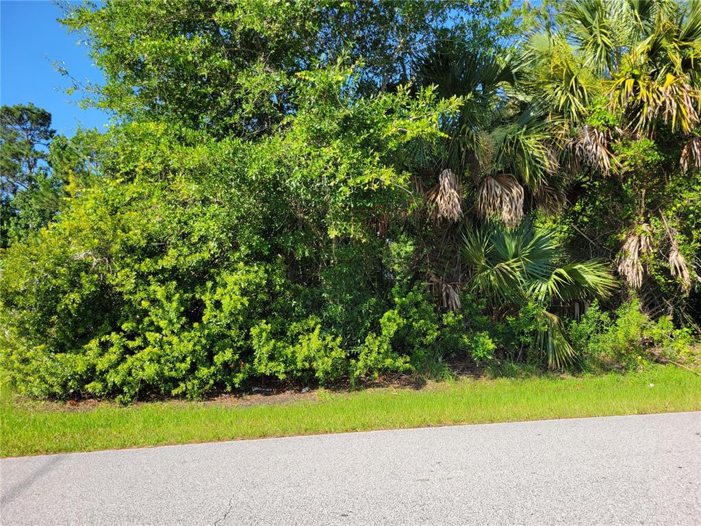 A paved road runs in front of a dense thicket of trees and palm fronds — 106 ROLLING SANDS DRIVE, PALM COAST, FL