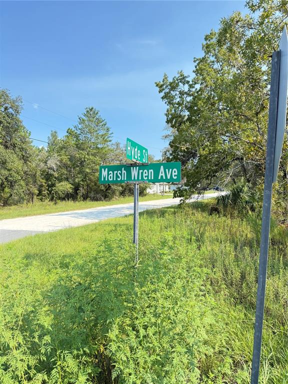 A street sign at the intersection of Hyde St and Marsh Wren Ave — 11096 MARSH WREN AVENUE, WEEKI WACHEE, FL