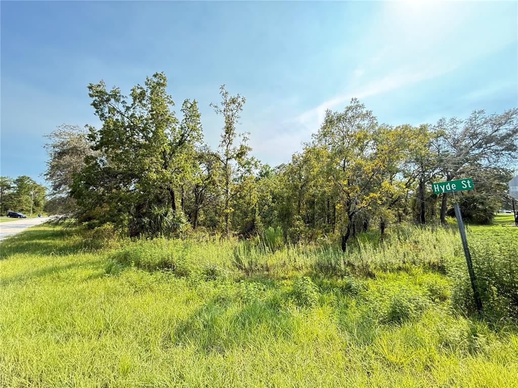 A vacant, tree-covered lot is situated at the corner of a street with a sign — 11096 MARSH WREN AVENUE, WEEKI WACHEE, FL