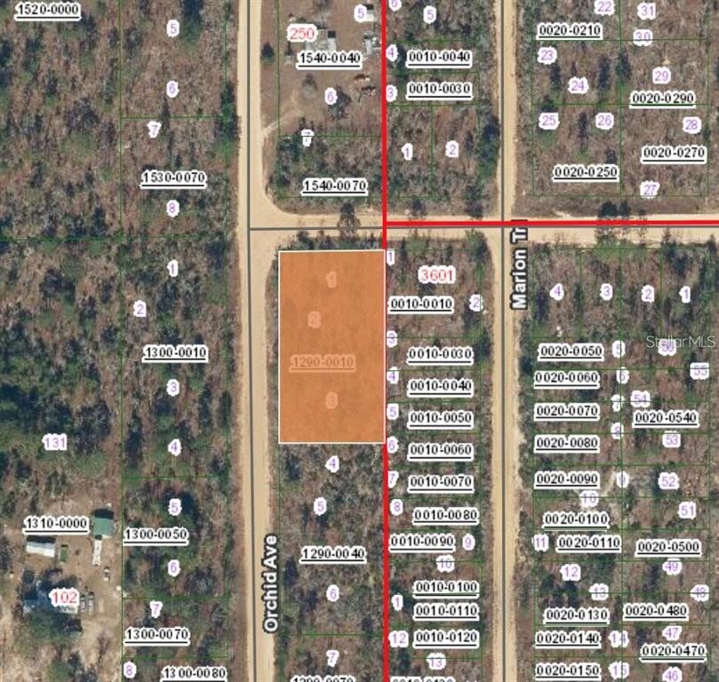 This is a satellite map showing a highlighted rectangular land parcel alongside local roads — XX ORCHID AVE, INTERLACHEN, FL