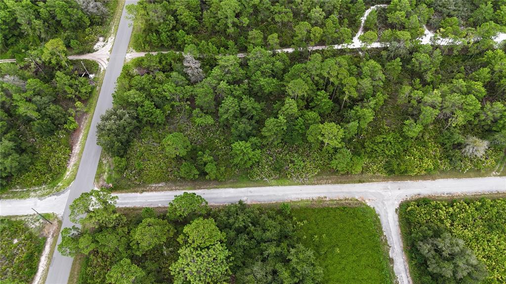 An aerial view shows a wooded, undeveloped lot bordered by paved roads — 961 FLEETWAY STREET, LAKE PLACID, FL